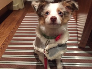 My ratty oversized BLUE coat.