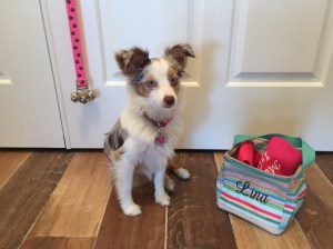 Me with My Bag Packed