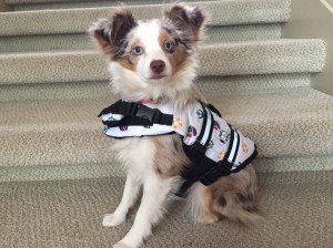 Me with the dreaded life jacket.