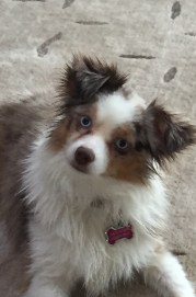 After a bath with Nanny!