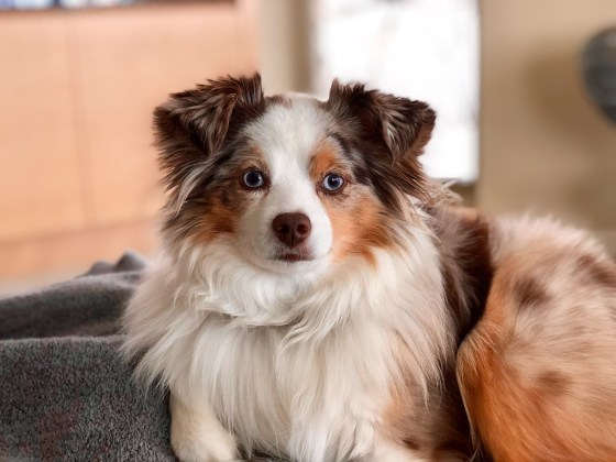 1C5E7A0F-821A-453F-BECA-51327FD07E33