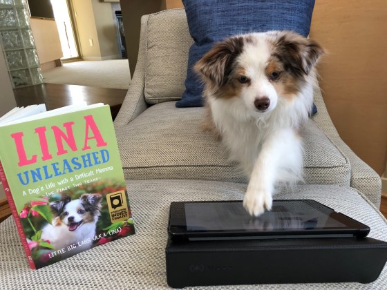 118F963C-B549-4A97-8673-DDC878535918