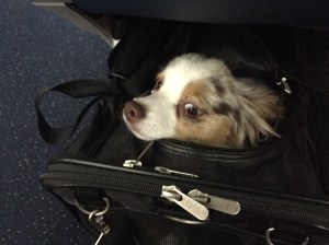 3898D521-BC0C-4A65-98BB-2DCD41AB866C