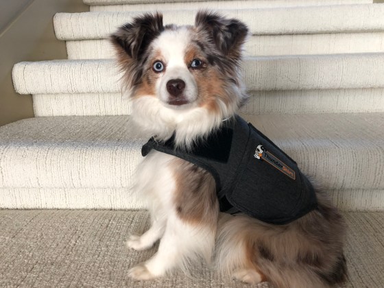 78473D36-FE1B-475C-B952-3701EDBE21E4