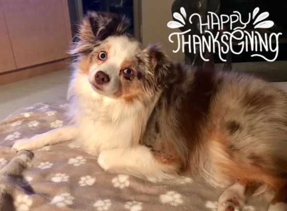 CB6A2403-D6F0-4A7F-8A1F-7CE2D7F2256A