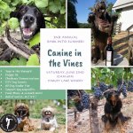 _CanineInTheVines_NoRegistration