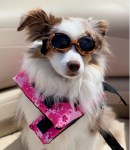 EDCB915F-8F31-4C9B-AE30-EC766A165E44