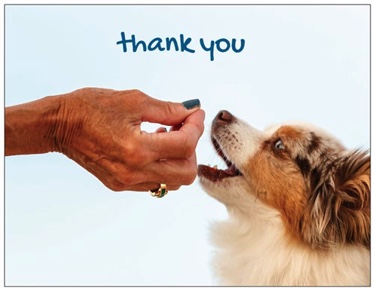 Image 9-10-19 at 10.12 AM