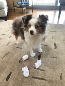 4A5CFC3C-608A-423F-9F55-E46B858D4E9B