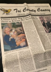 B5CD25CA-3666-4B04-A90D-DB89681D519B