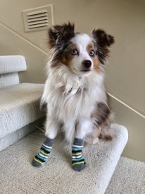 FC99C6F5-A735-4614-A6CF-26CBC7AC5071