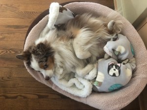 F6D1EFAB-A37C-4D34-B98D-C5753FE64DA2_1_201_a