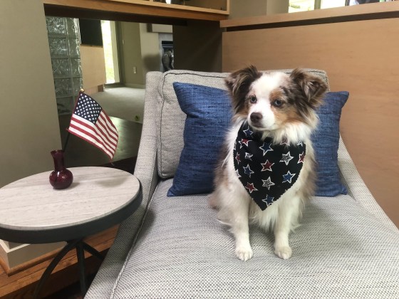 90A646C9-95F3-42D0-A41E-4B44DD80C3F9