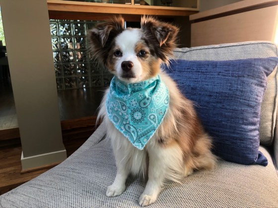 931C1A23-0B74-4FF8-8EFD-8AA57F7D8451