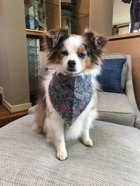 CBE02AC4-C476-41CF-98DD-BC49AEB0F85F