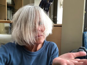 FAA2476C-7B7F-43A1-B6F9-311AB8FF1C1E