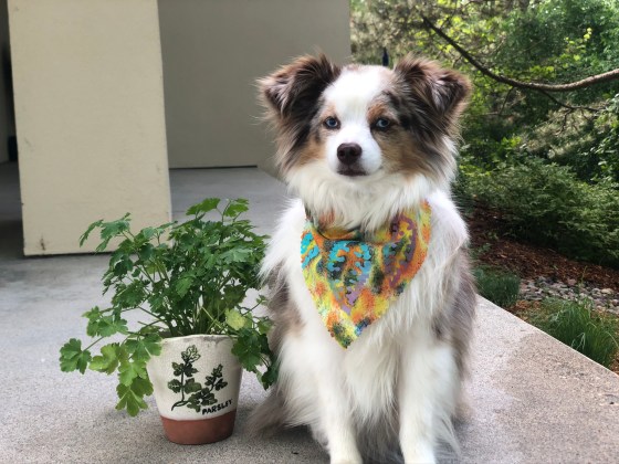 6E6A6F9C-63DB-4C97-B734-5DB4AF60147E