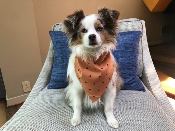 7BF08558-68B1-4F2E-A6D5-3730451AC213