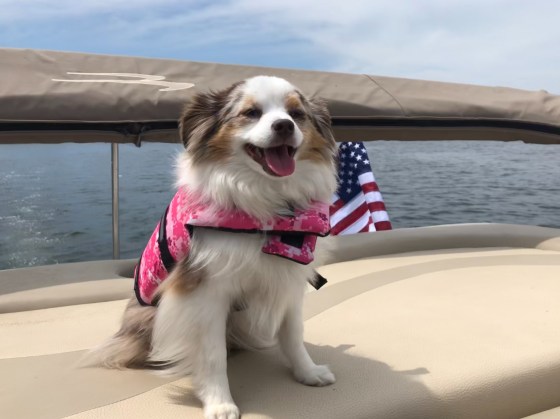 AE6AB2F3-FD3B-4957-A345-8516BB4C3F33