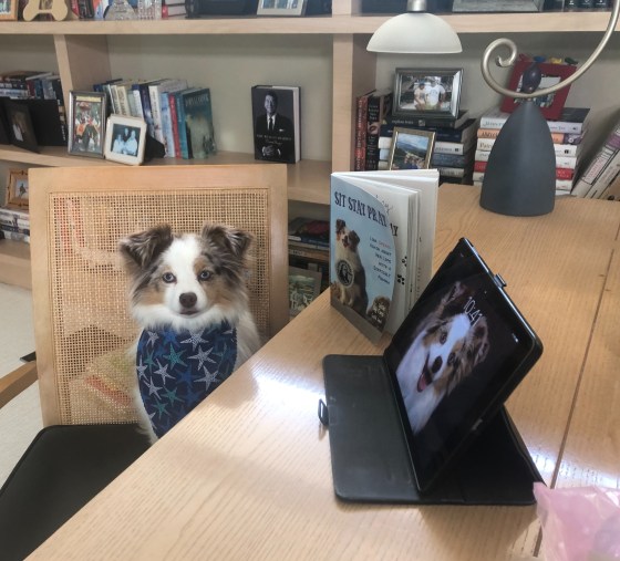 D1998BB3-F471-40B1-99B3-D254924ED6A1