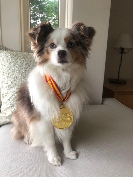 6C4056E5-66A7-45FB-97F0-9604D7C17638