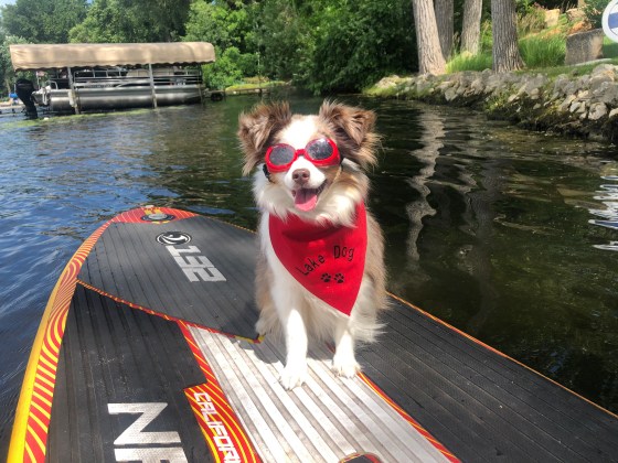 7076C6BB-A3E0-47B3-B813-4DF2FD763964