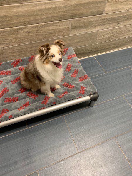 8FB0EEFC-7E24-4F3F-A67F-71872E190FE9