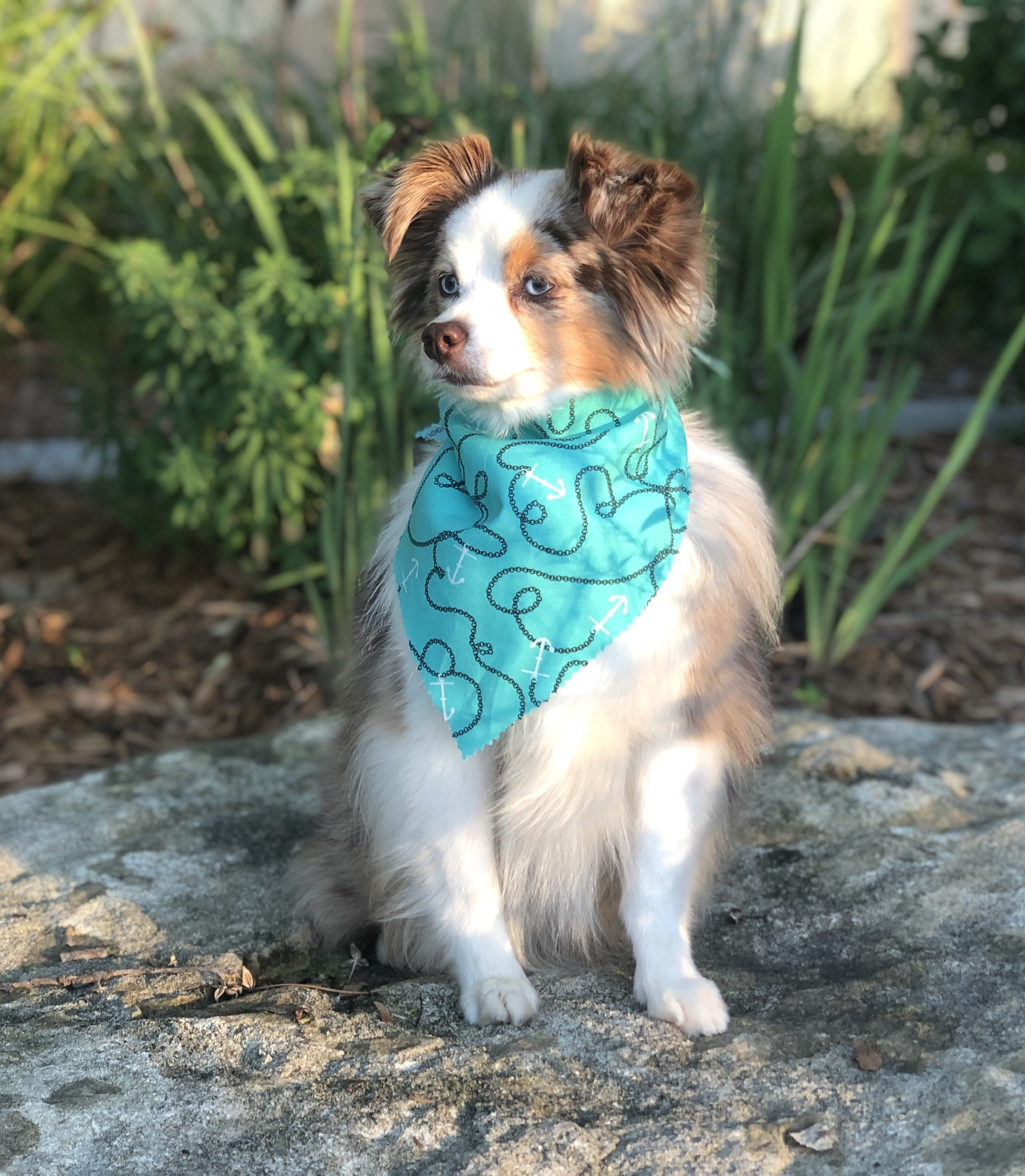 375350E6-5726-4BEB-A7B5-E73AC1997FA1