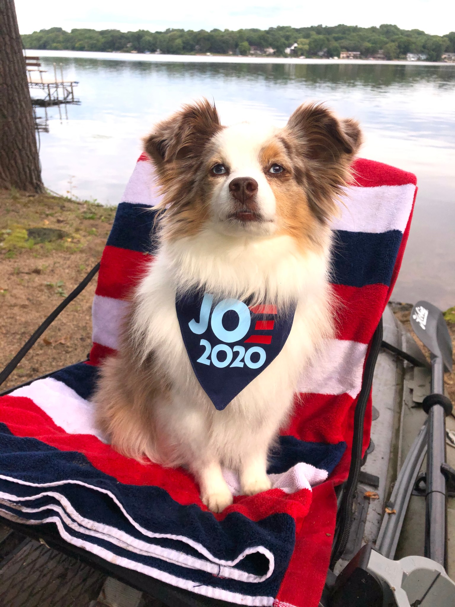 7A32D6A0-2CD3-46E0-9DFD-84575DDE5564