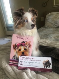 946A6B7E-CD29-4D32-BA11-1B2908335A7F